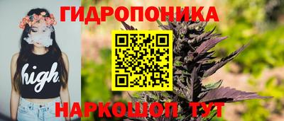 spice Шелехов