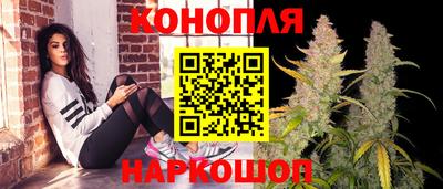 гашик Шебекино